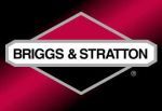 Briggs & Stratton