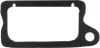 Briggs&Stratton Ventildksel-pakning 