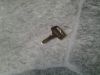 Tndnings ngle Egholm2150
